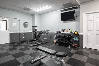 A gym with a bench, weights, and a television